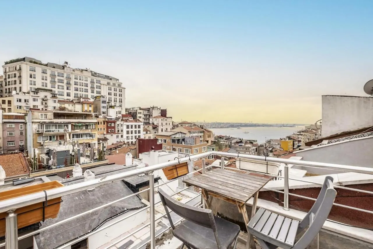 Sleek Flat With Excellent View In Cihangir Istanbul