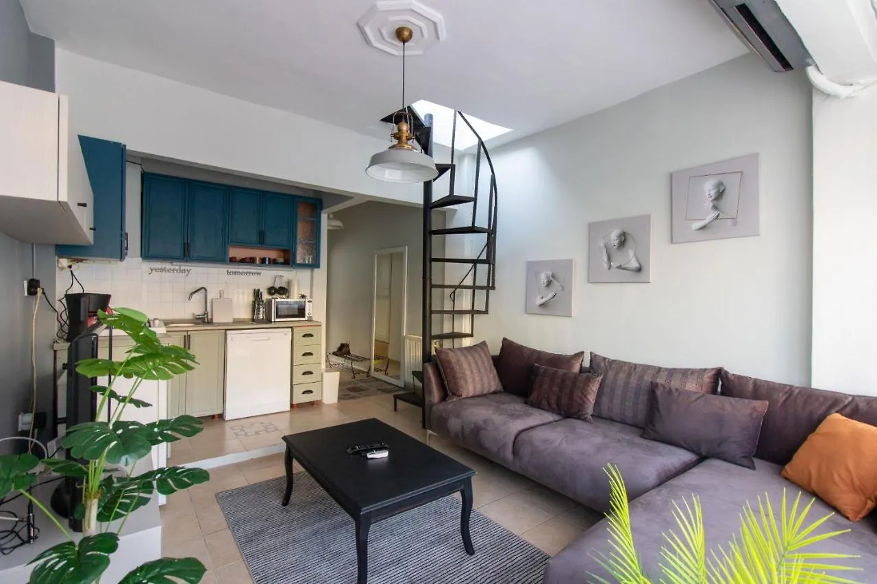 Διαμέρισμα Sleek Flat With Excellent View In Cihangir Κωνσταντινούπολη