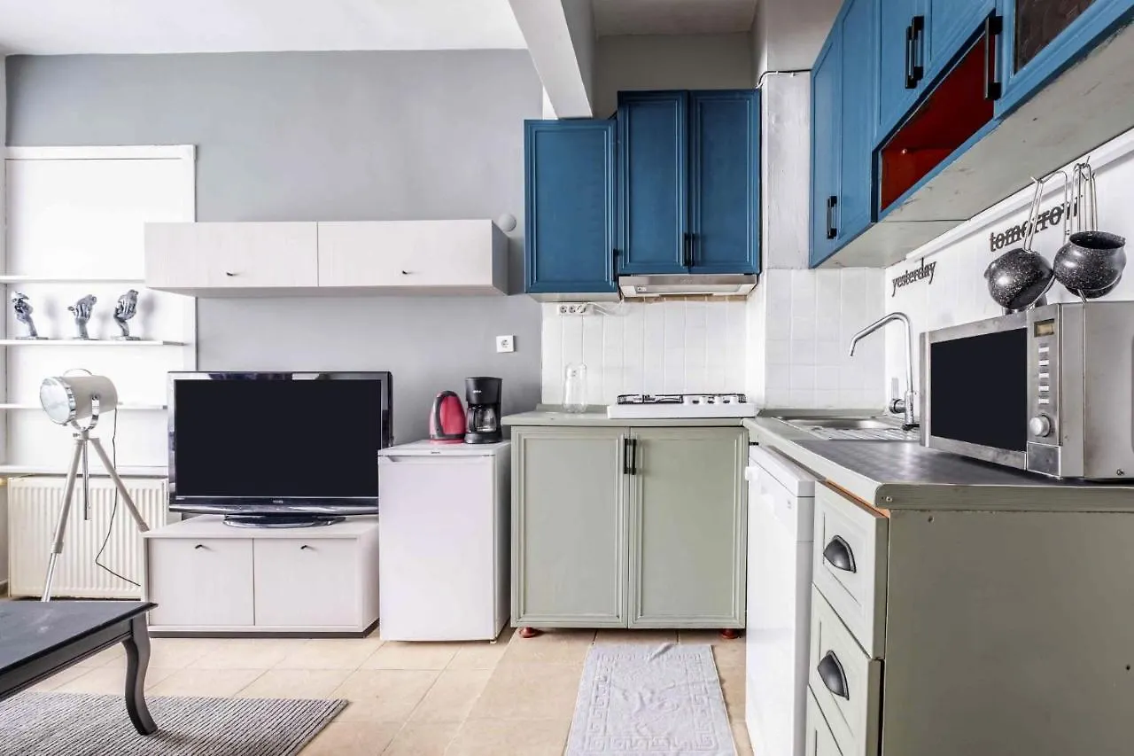 Sleek Flat With Excellent View In Cihangir Κωνσταντινούπολη Τουρκία